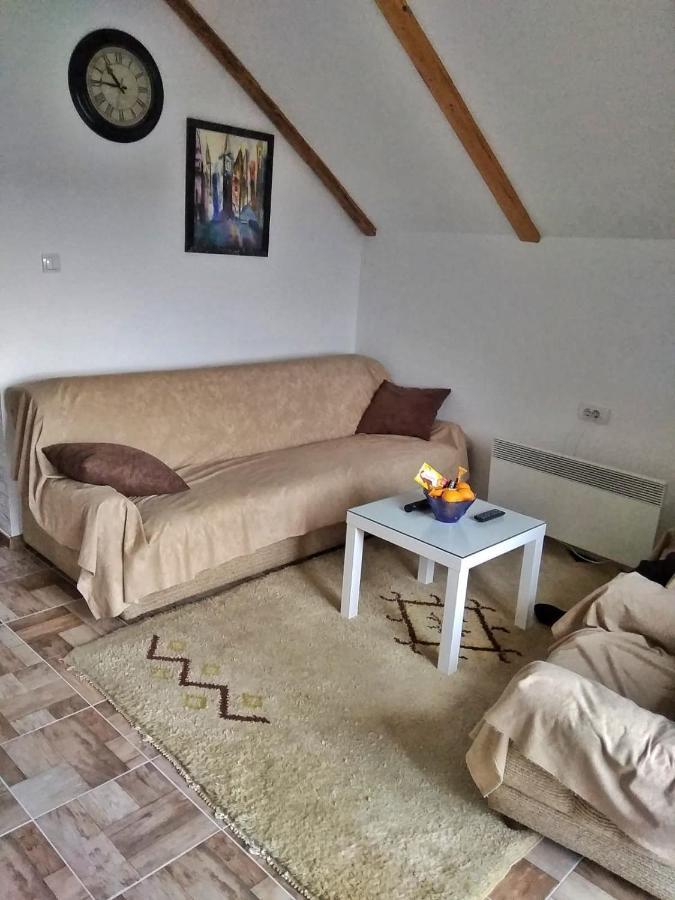Apartmani Zapis Vrdnik Exterior foto