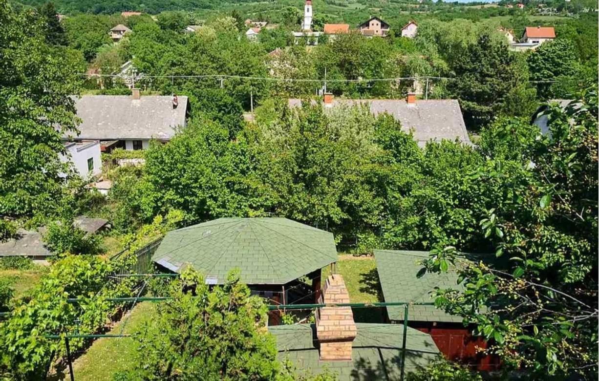 Apartmani Zapis Vrdnik Exterior foto