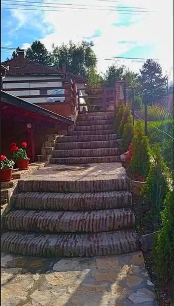 Apartmani Zapis Vrdnik Exterior foto