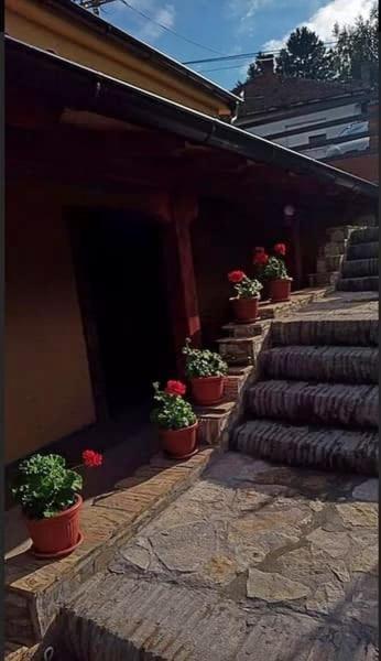 Apartmani Zapis Vrdnik Exterior foto