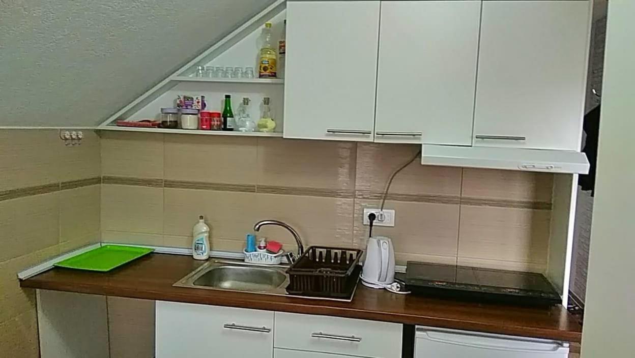 Apartmani Zapis Vrdnik Exterior foto
