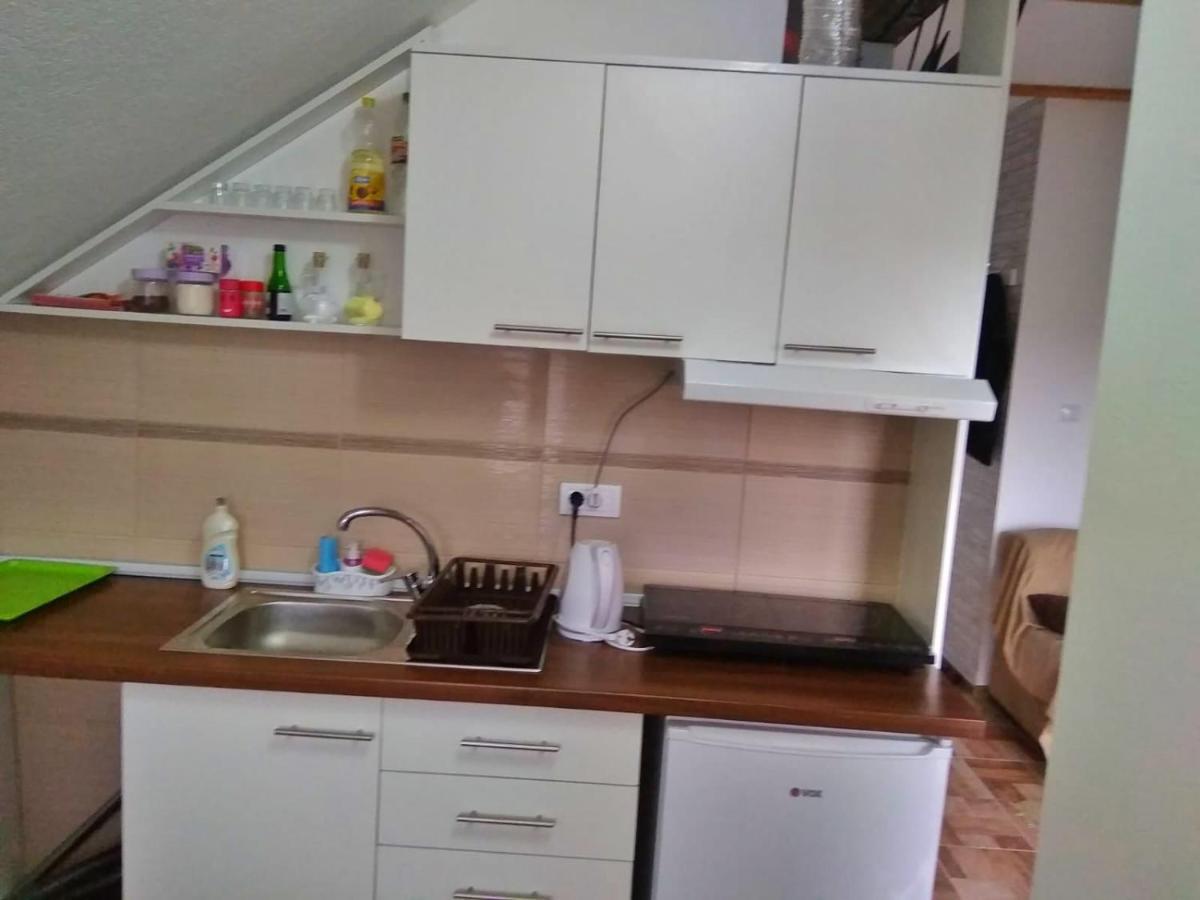 Apartmani Zapis Vrdnik Exterior foto